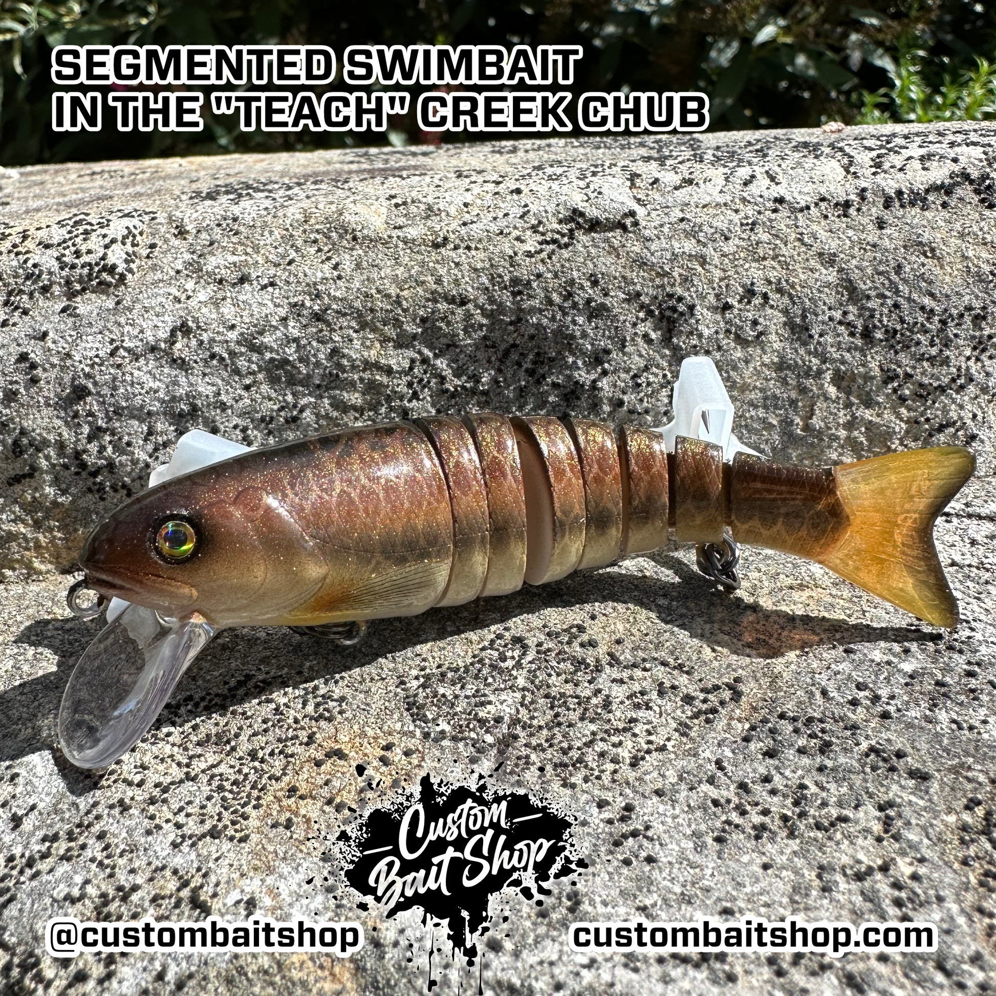 best segmented fishing lures Custom 4.5in Segmented Swimbait