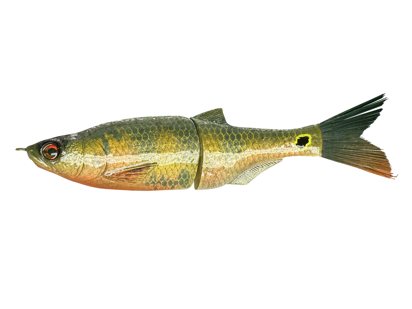 6" Slim Shady Glide Bait