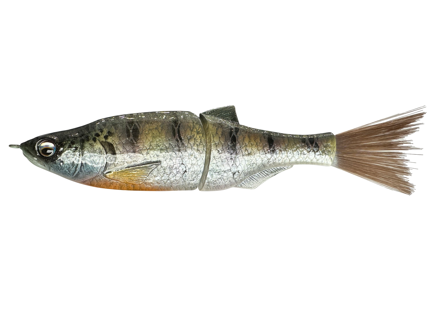 6" Shad Swim Glide Bait