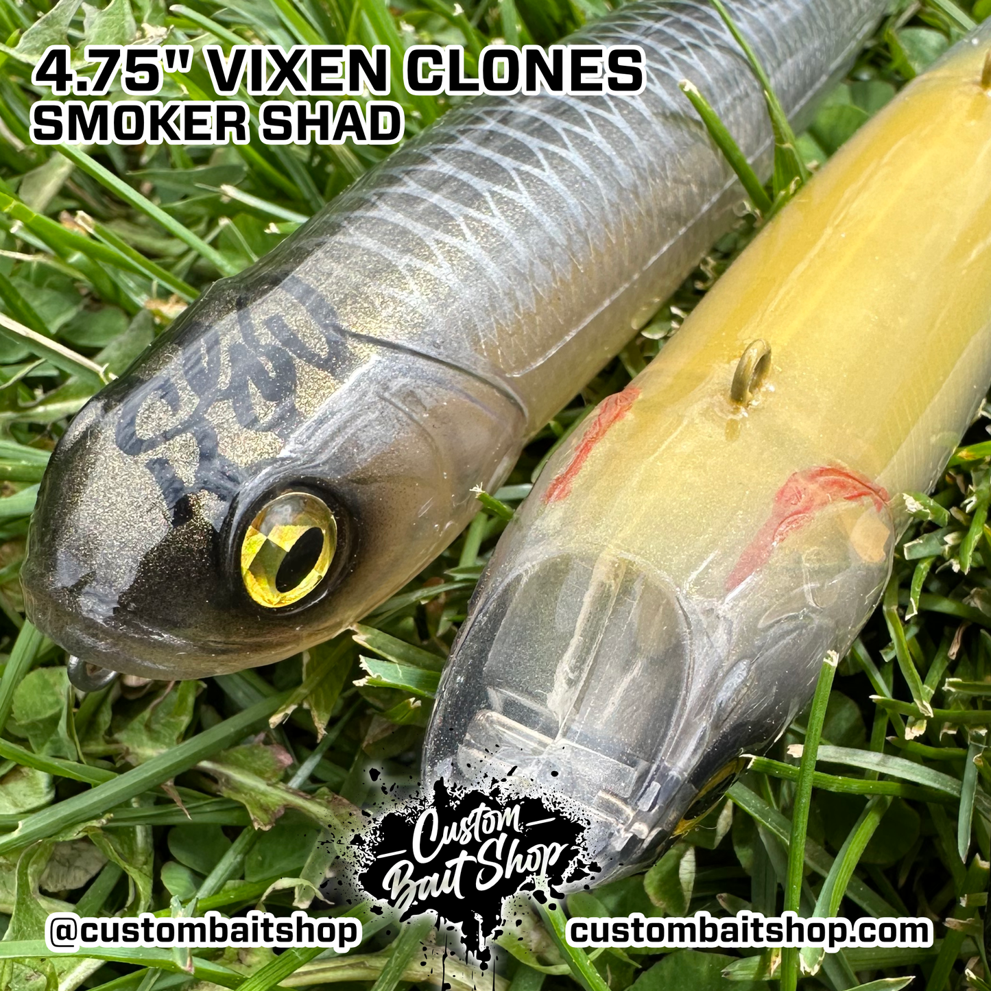 5" Vixens (Sale)