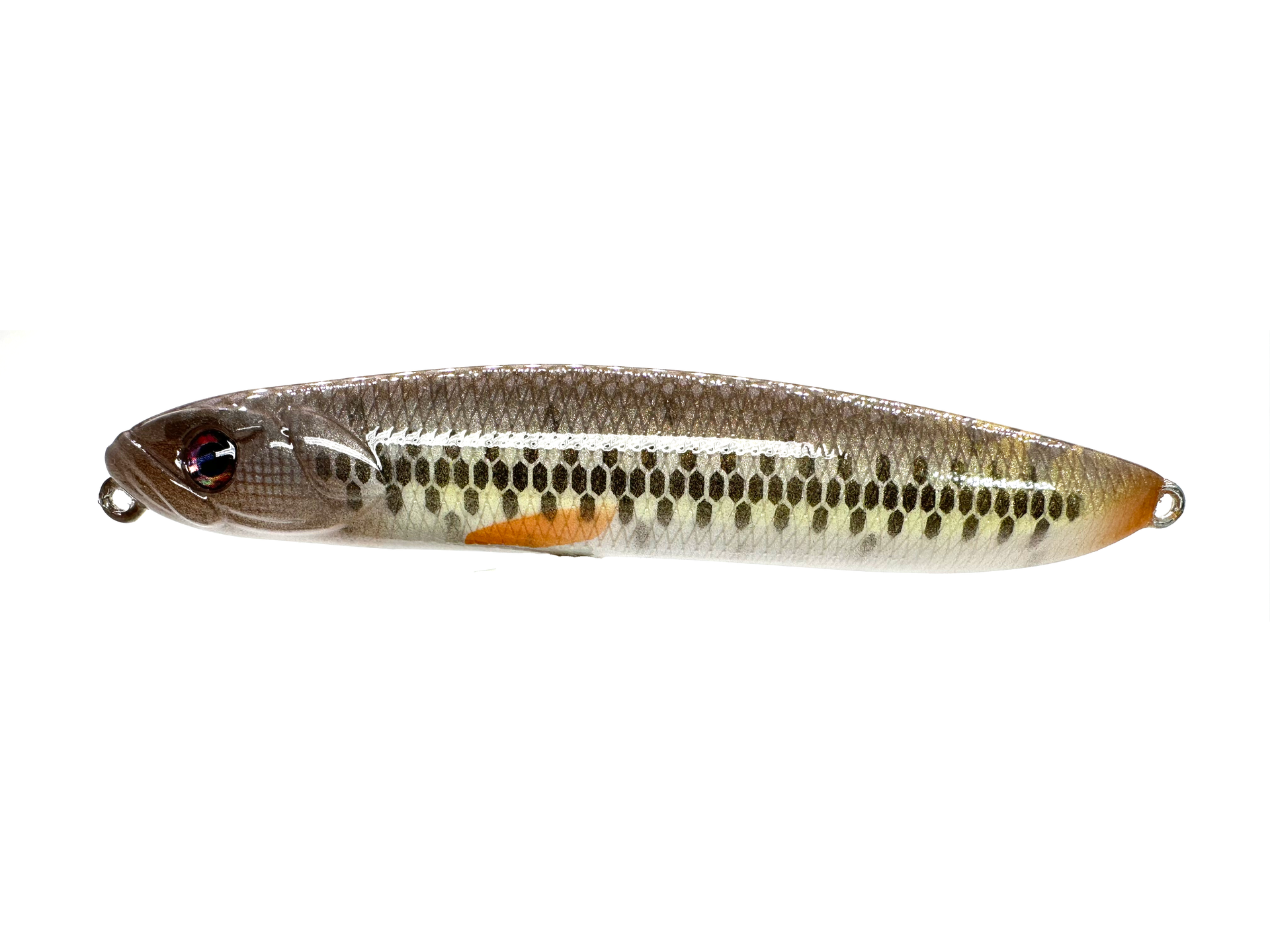 cane creek fishing lures bait shop 4" Walking Bait