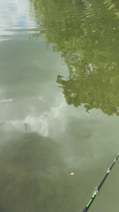 Evergreen Bream Clone Swim Bait