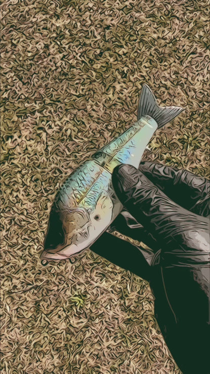 Kamikaze Glidebait (Sale)