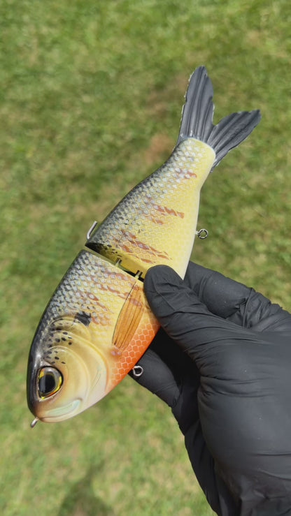 Dutchman - Natural Gill