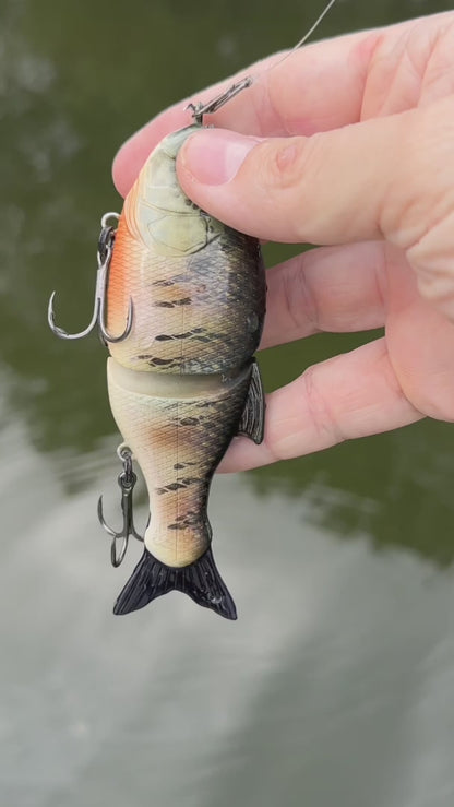 4" Diminutive Wake Bait