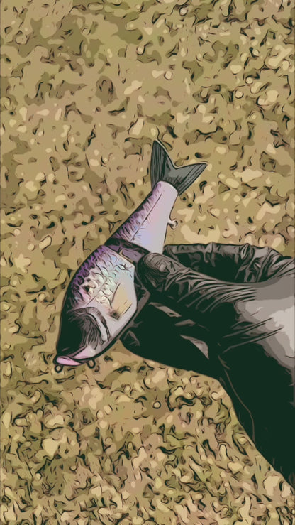 Kamikaze Glidebait (Sale)