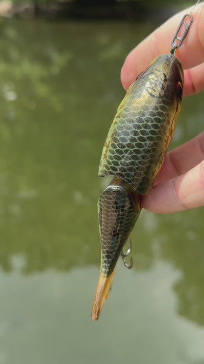 5" Phat Shad Swim Bait
