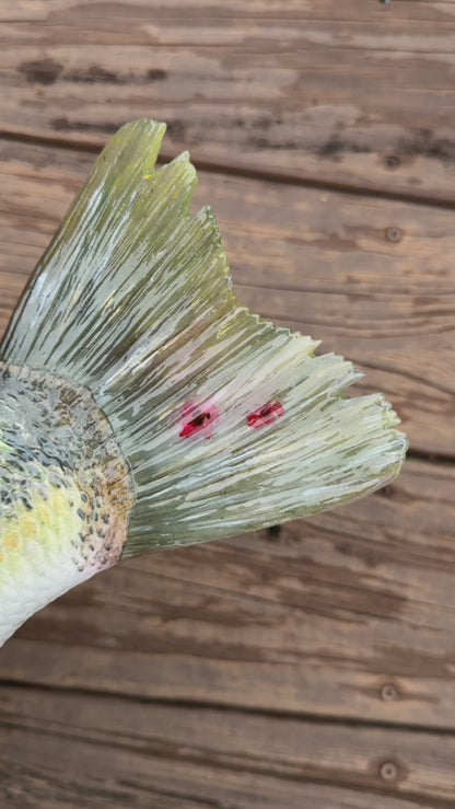 Largemouth Bass Replica