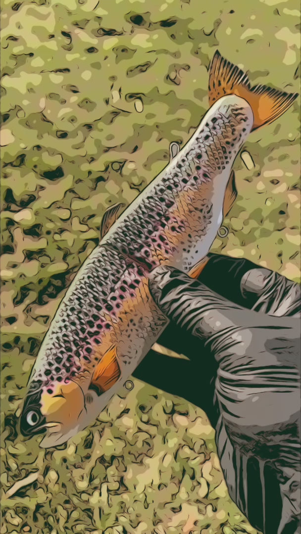 Hinkle Trout / ヒンクルトラウト ② CBS-HinkoTrout-ChromeRainbow.