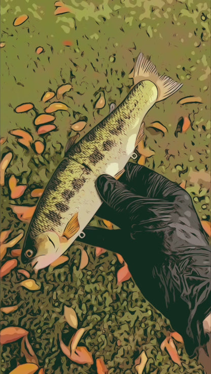 Hinko Trout Jr. (Sale)