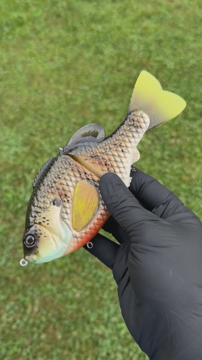 BC Gen3 - Painted Resin Baits