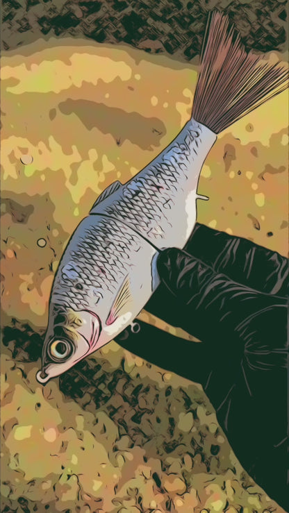 7" Carpio Swim Bait - (Sale)