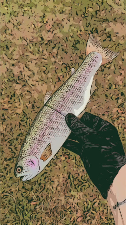 11" Hinko Trout Glide Bait