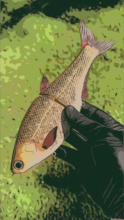 9" Hinko Shad - Special Patterns