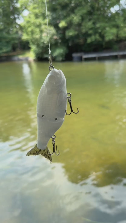 5" Forage Shad - Micro Glide