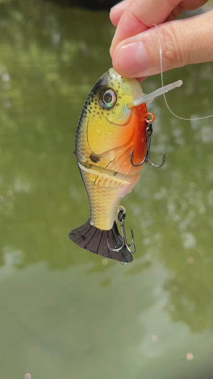 5" ShoGun Wake Bait