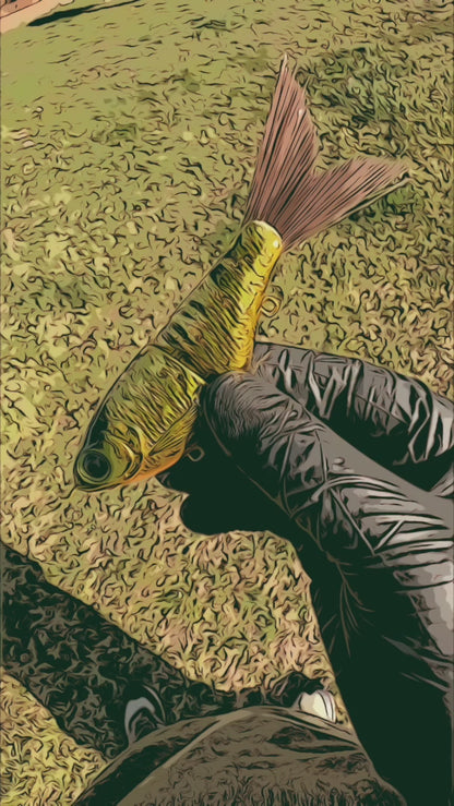 5" Wee Shad Micro Glide - Holographic Series