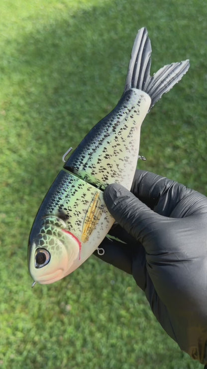 Dutchman - Painted Resin Baits