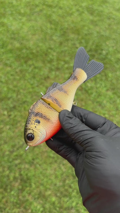SleepWalker - Painted Resin Baits