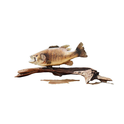 Smallmouth Bass Replica w Driftwood (deposit)