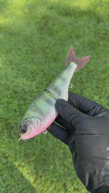 7" Nth Shad - Glide Bait