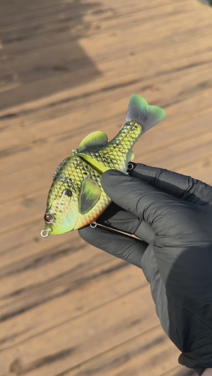 BC Gen3 MINI - Painted Resin Baits