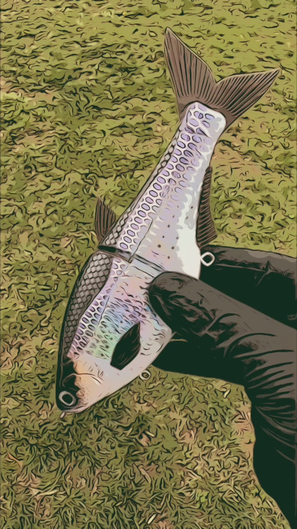 Hinkle Shad Jr. 7