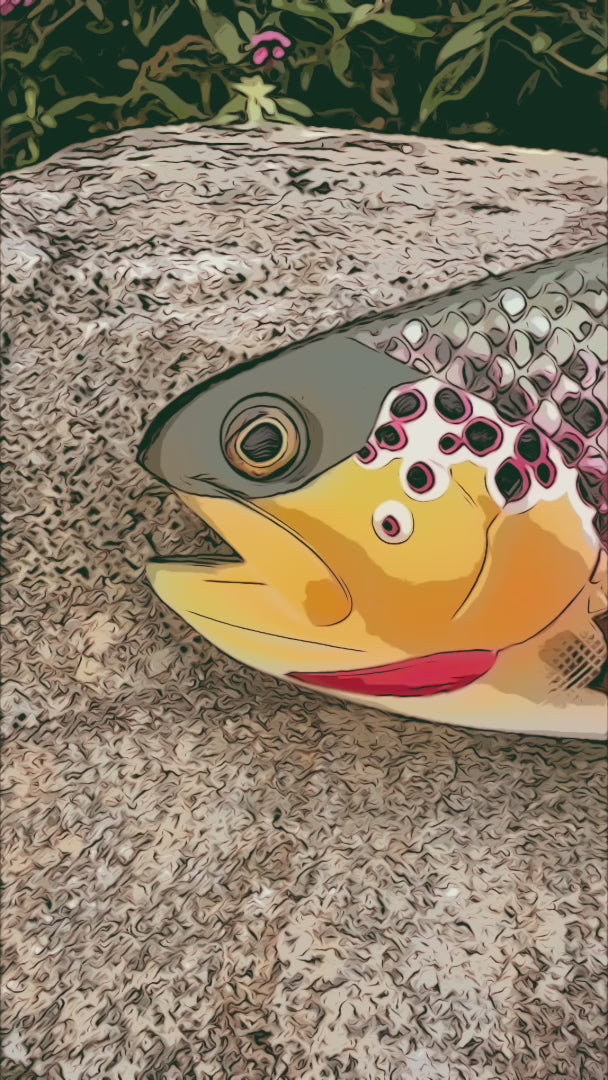 Hinkle Trout 11 Hinkle Trout 11