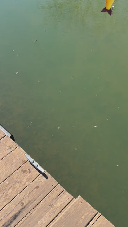 Kamikaze Glidebait (Sale)