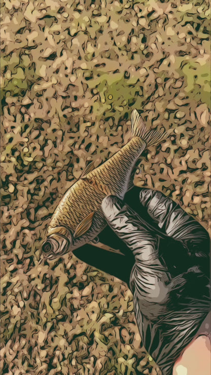 Hinkle Shad Style Finesse Glide Bait