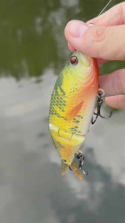 Glide Slide Swim Bait (Sale)