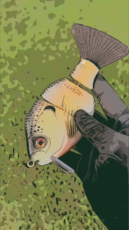 7" SunWu Wake Bait