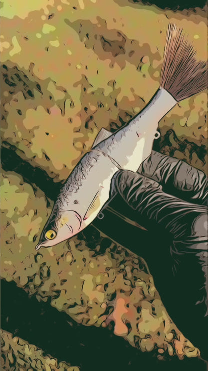 6" Slim Shady Glide Bait (Sale)