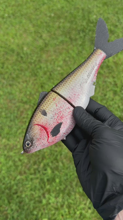 CaliGlide - Shad Glidebait